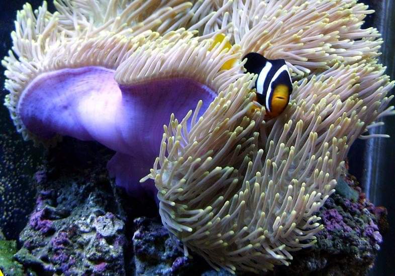 Darrell's Aquarium photo 2