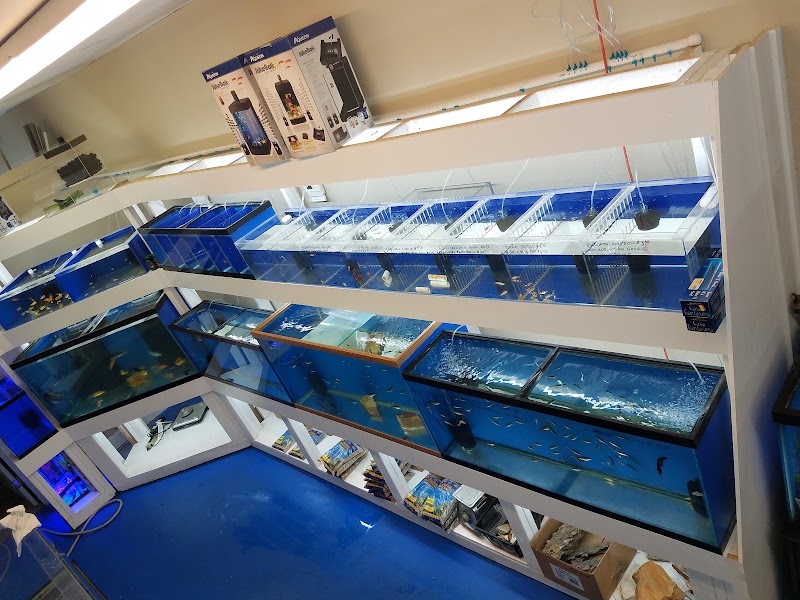Darrell's Aquarium photo 3