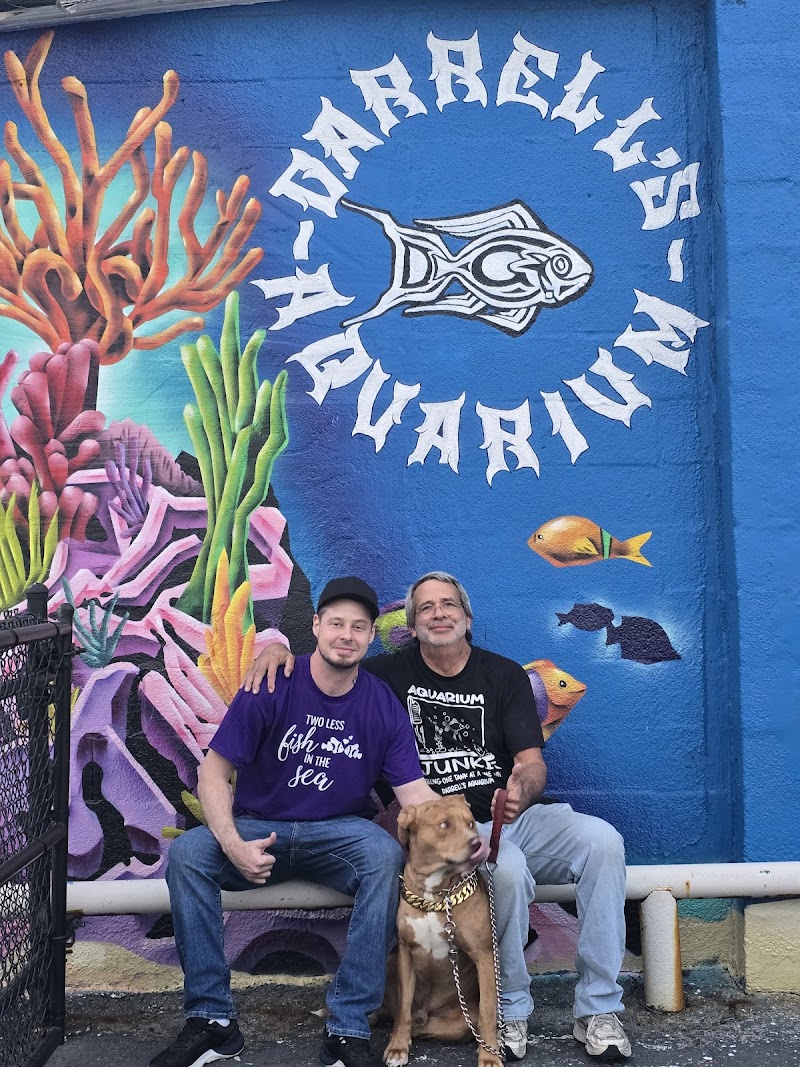 Darrell's Aquarium photo 4