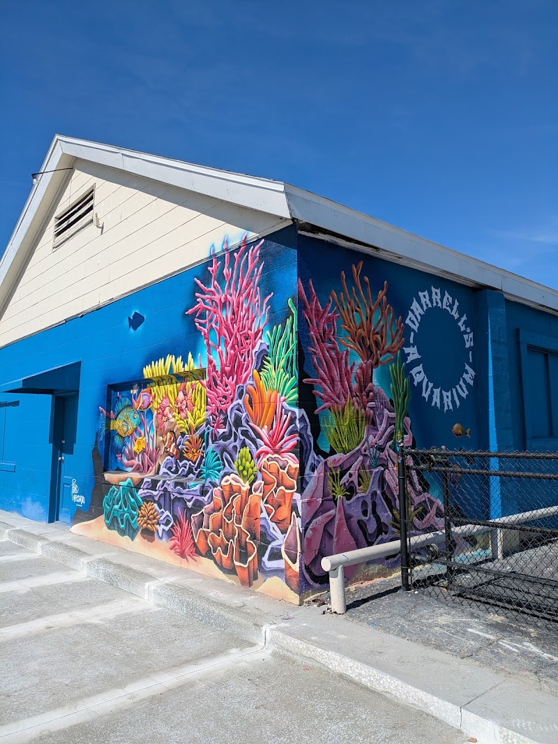 Darrell's Aquarium
