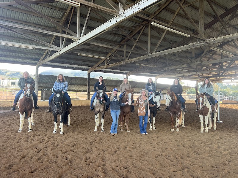 Blue Banner Stables photo 2
