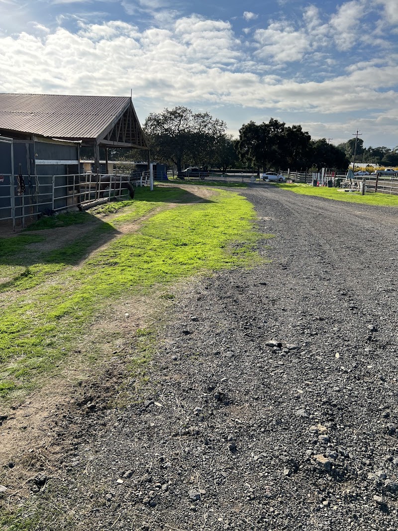 Blue Banner Stables photo 3