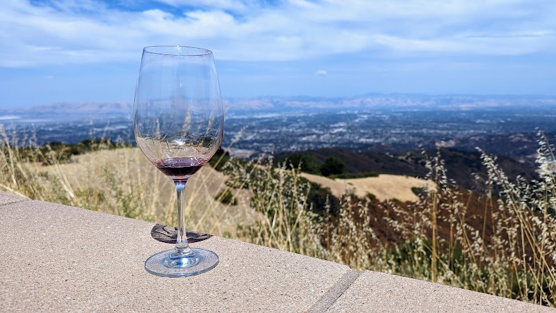 Vidovich Vineyards photo 5