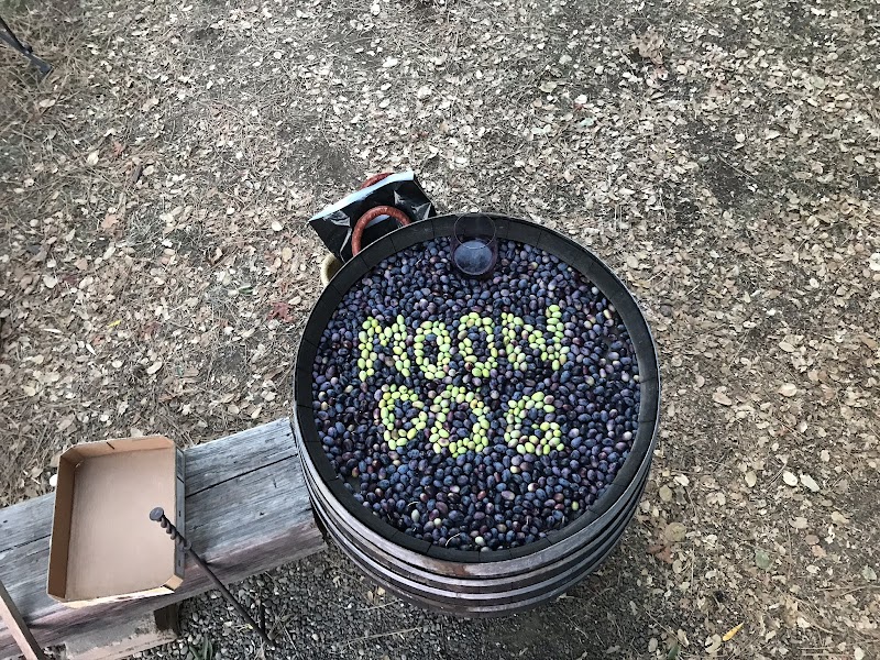 Moon Dog Olive Farm photo 4