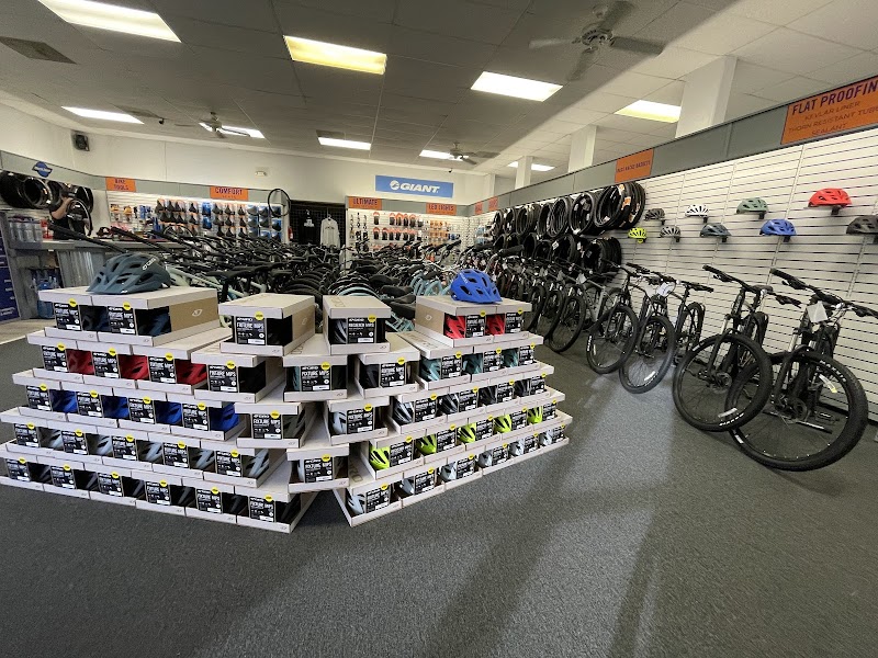 Junction Bike Company and Rentals (Sales and Rental Services) photo 2