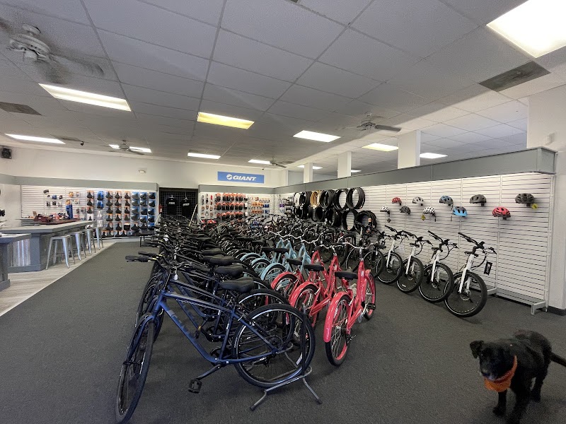 Junction Bike Company and Rentals (Sales and Rental Services) photo 5