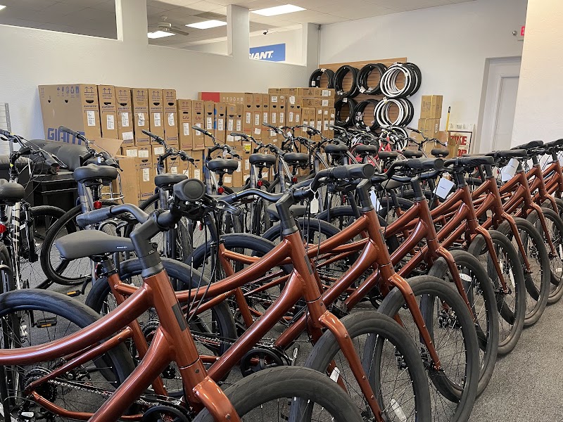 Junction Bike Company and Rentals (Sales and Rental Services) photo 3