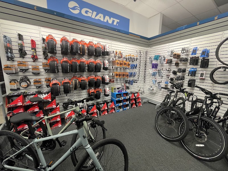 Junction Bike Company and Rentals (Sales and Rental Services) photo 4