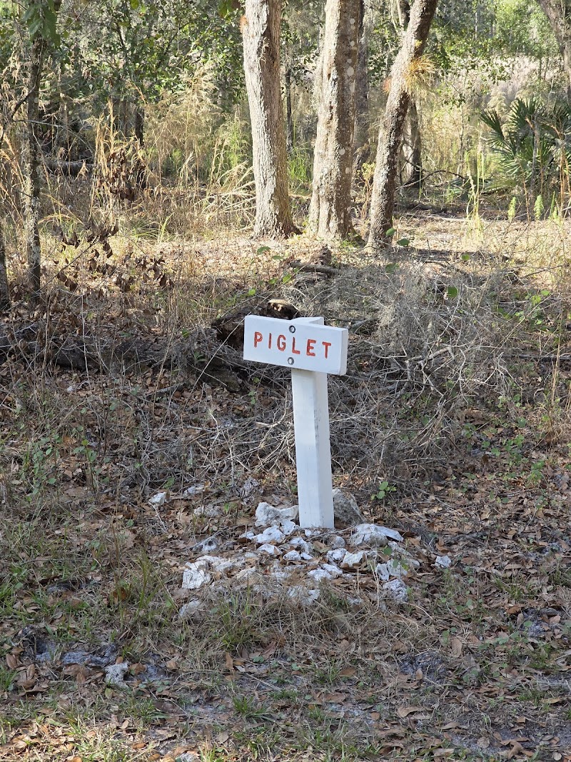 Photo of Piglet and Technopig Trail markers