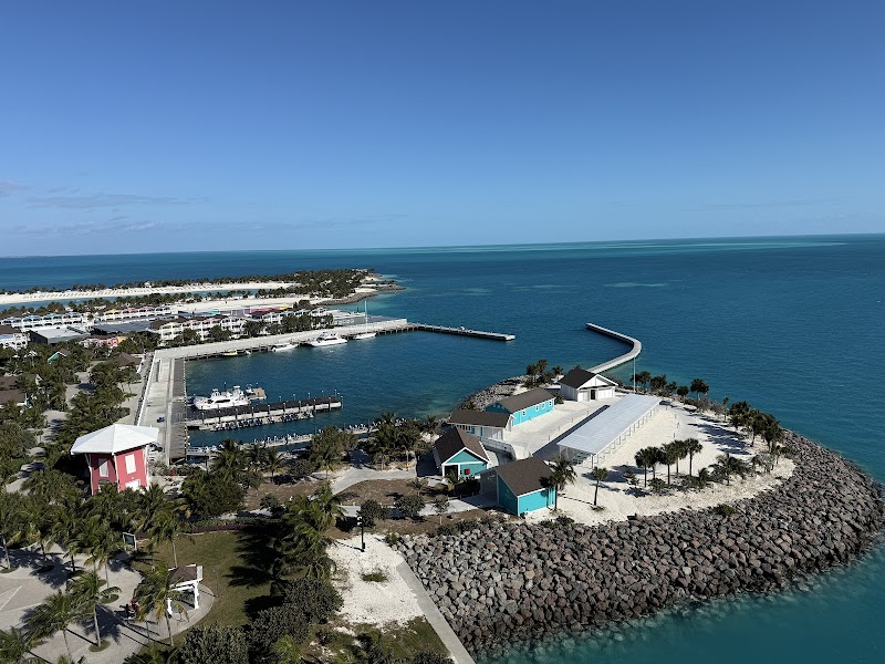 Cruise Planners - Alchemy Cruise and Travel LLC photo 5
