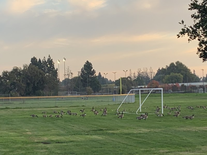 Photo of Independence High School Tennis Courts