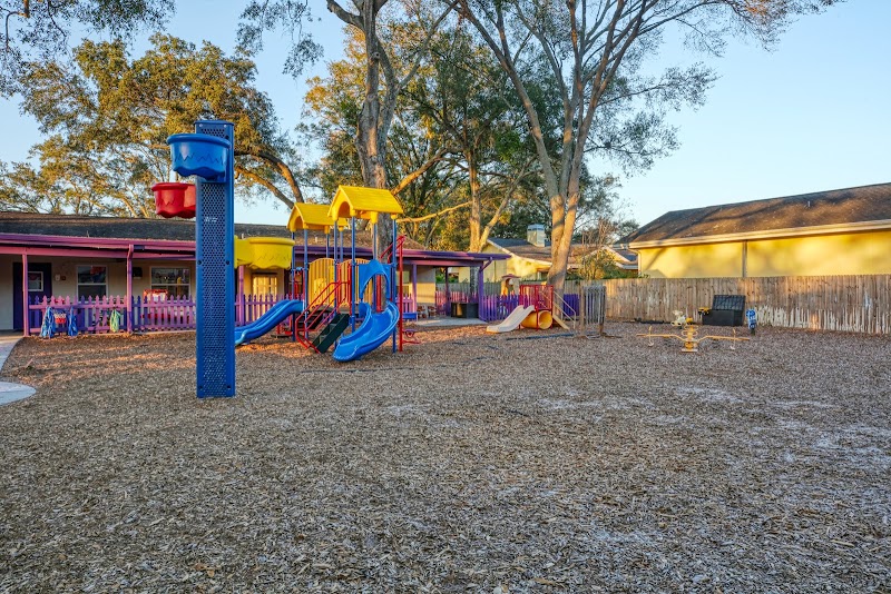 O2B Kids Palm Harbor photo 4