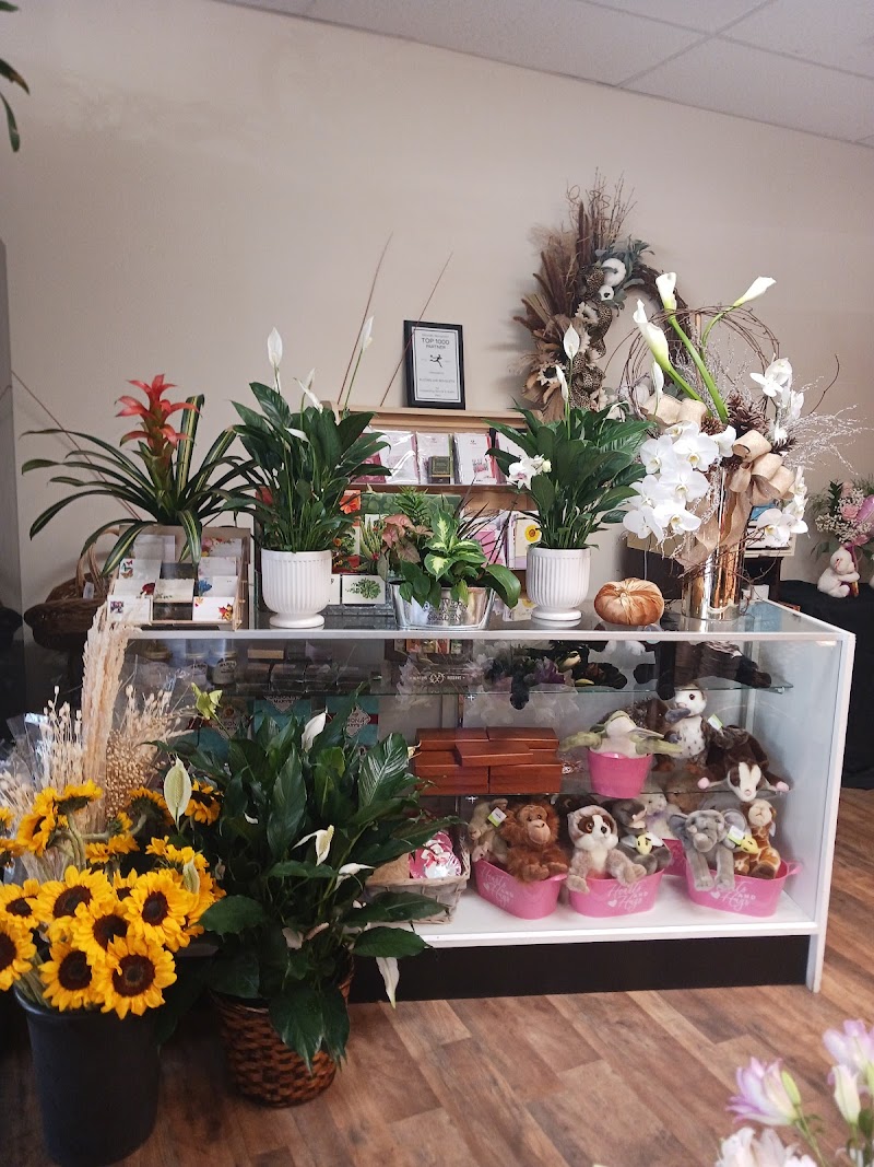 Blooms & Bouquets photo 3
