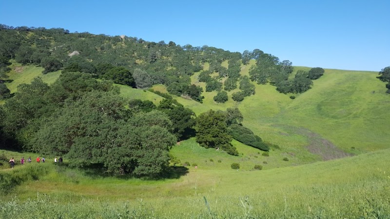 Save Mount Diablo photo 5