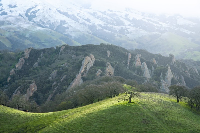 Save Mount Diablo photo 4