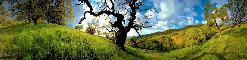 Photo of Save Mount Diablo
