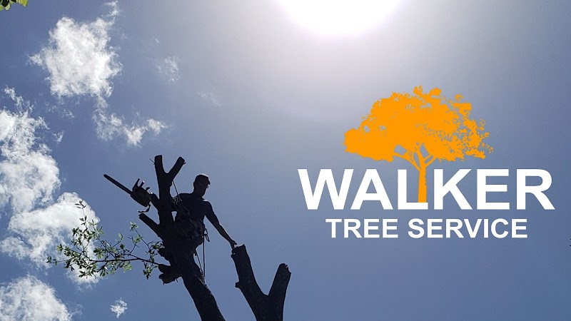 Photo of Walker Tree Service