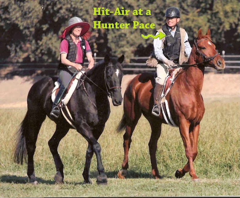 Equestrian Training photo 3