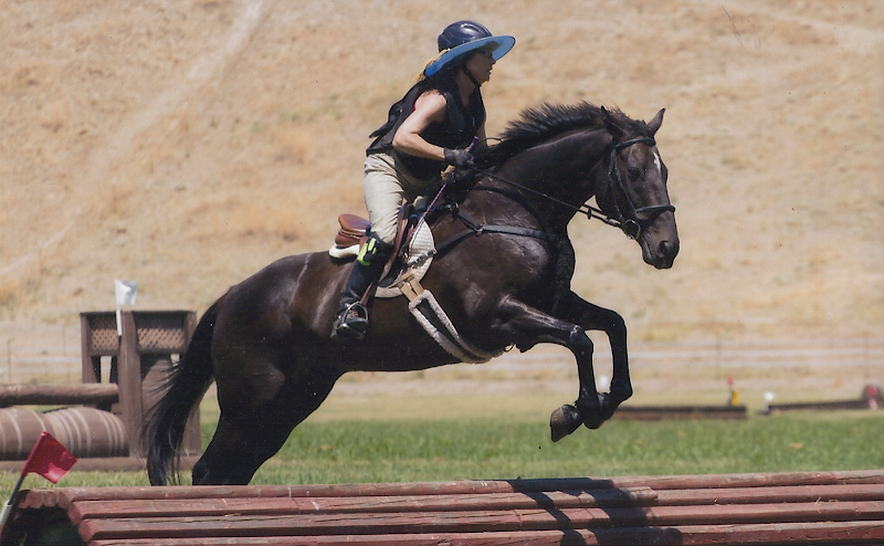Photo of Equestrian Training