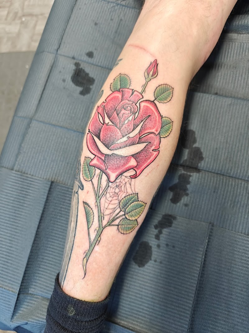 Photo of Tidepool Tattoo