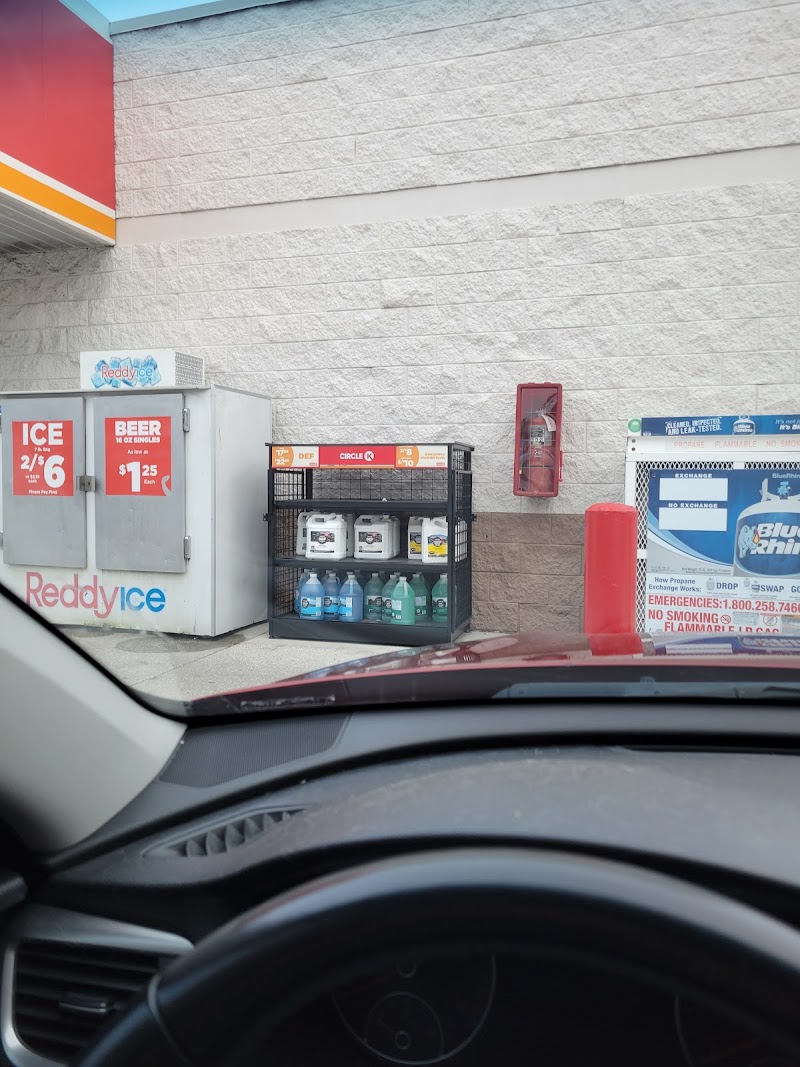 Shell photo 3
