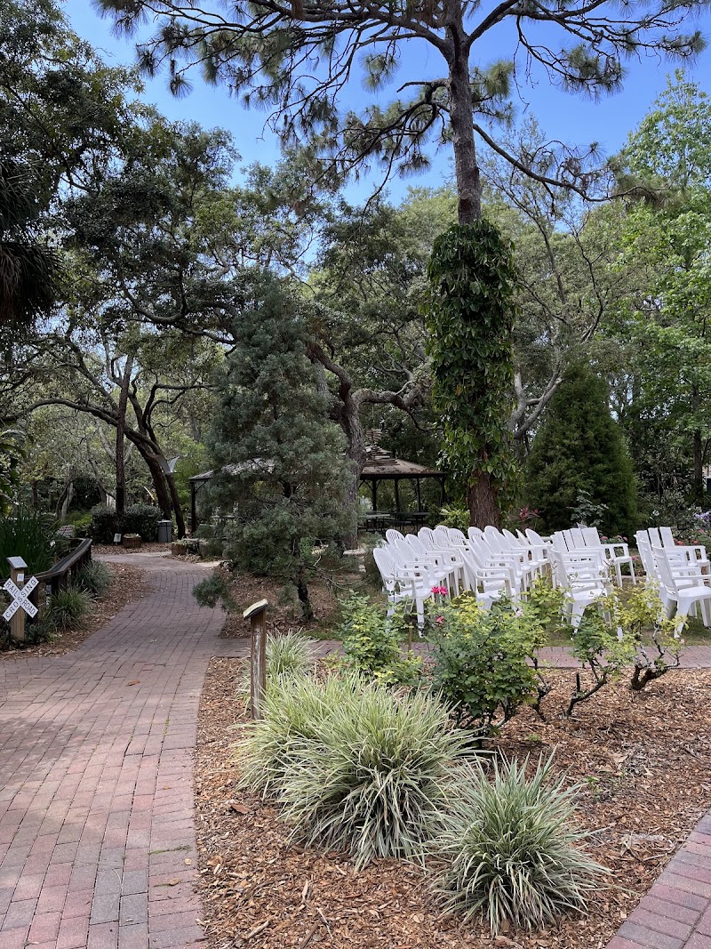 Nature Coast Botanical Garden & Nursery photo 3