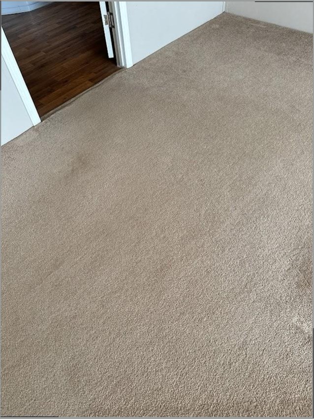 TSJ Carpet Cleaning photo 5