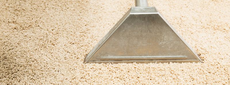 Photo of TSJ Carpet Cleaning