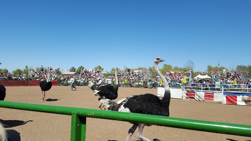Tumbleweed Ranch photo 5