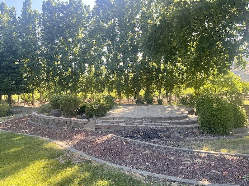 Sasa Villa photo 2