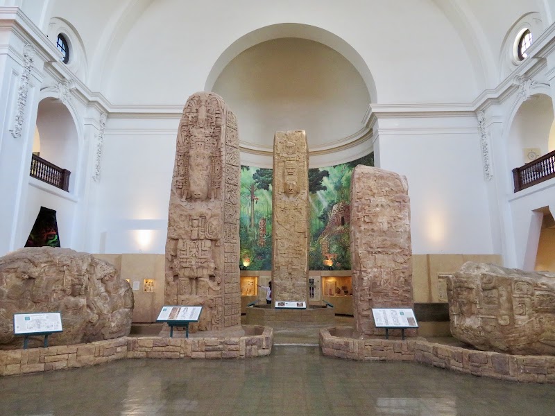 Museum of Us photo 5