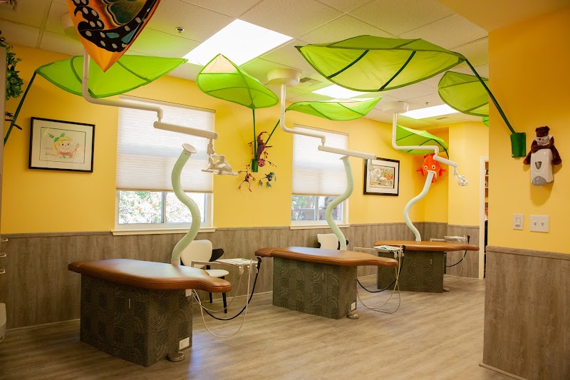 Oliver Robert DDS photo 2