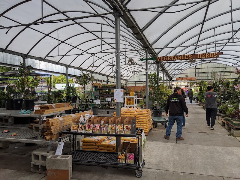 Yamagami's Garden Center photo 4