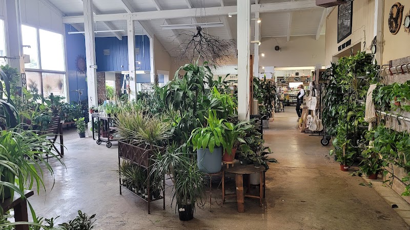 Yamagami's Garden Center photo 2