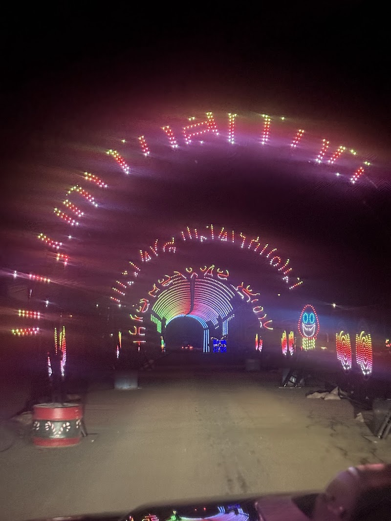 Christmas Light Show photo 5