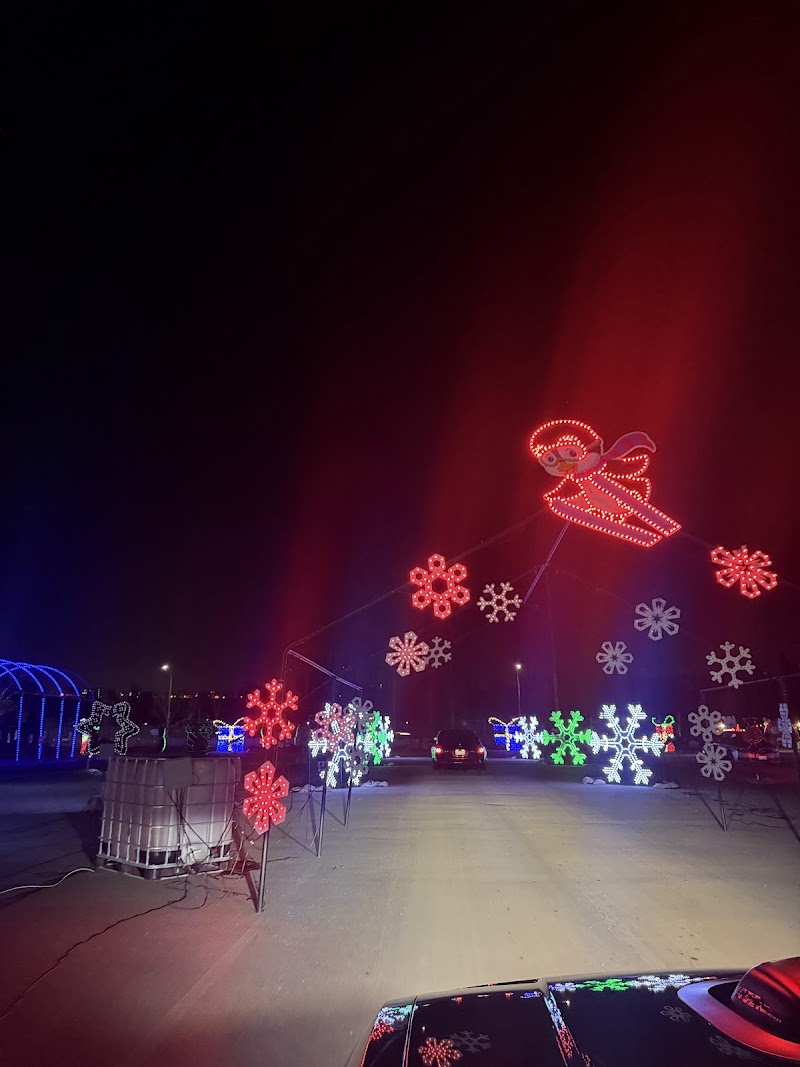 Christmas Light Show photo 3