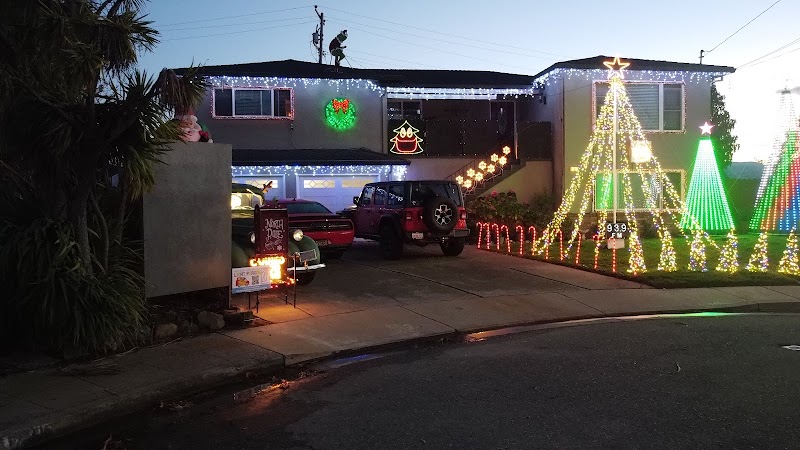 Photo of Christmas Light Show