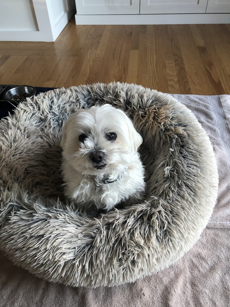 Photo of Marina's Pet Care