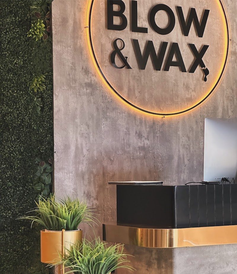 BLOW & WAX - brow threading • blow outs • brazilian waxing • full body waxing • brow tinting • lash lifting photo 4