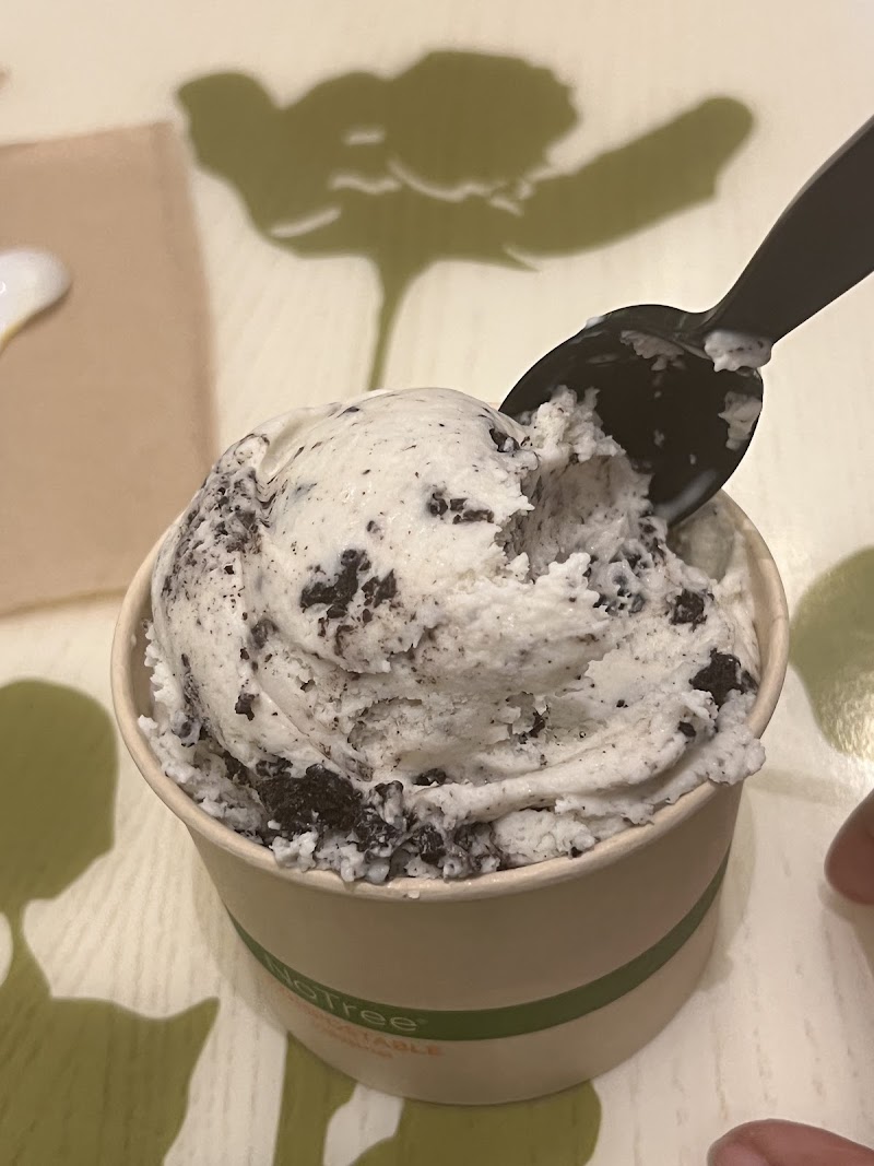Scoops photo 3