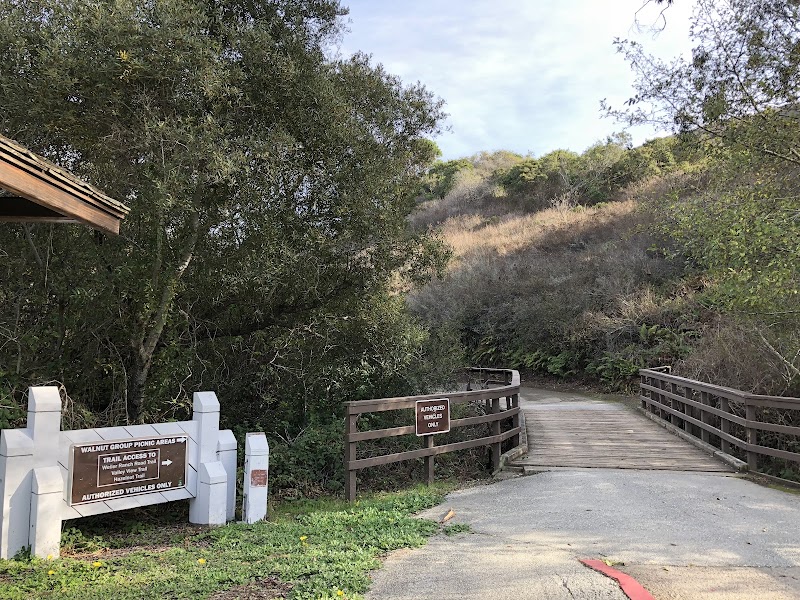 San Pedro Valley Park photo 2