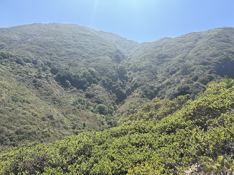 San Pedro Valley Park photo 3