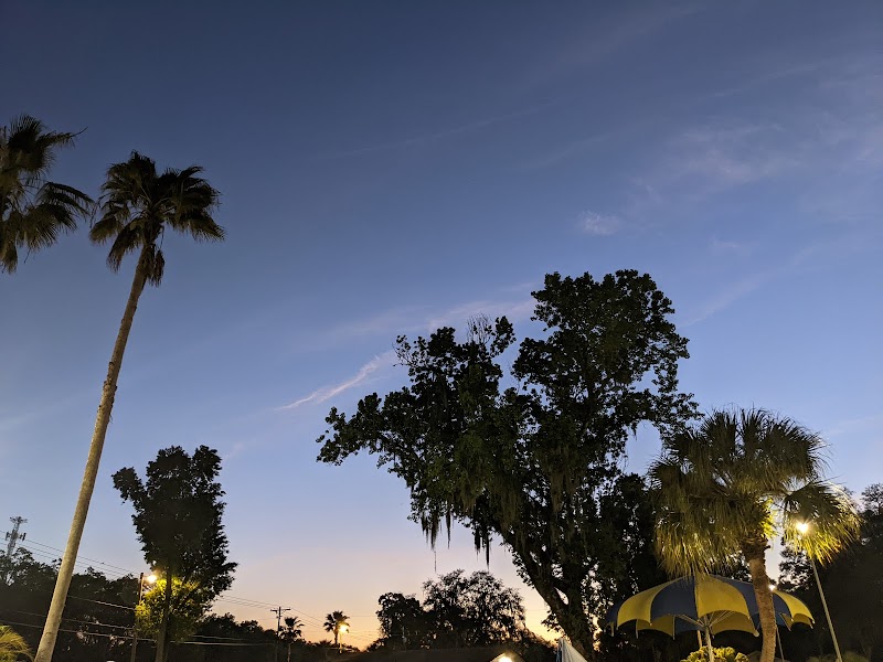 Tampa East RV Resort (The Rainbow Entrance) photo 3