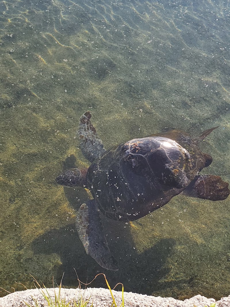 Florida Oceanographic Coastal Center photo 5