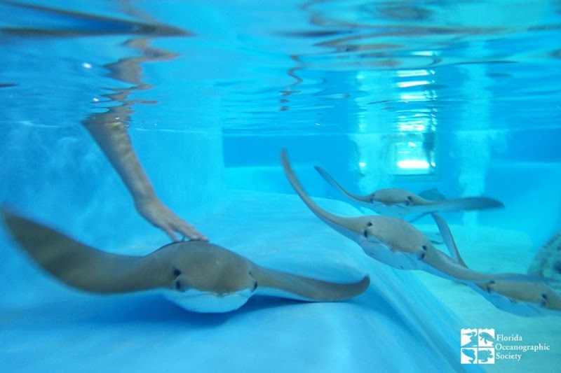 Photo of Florida Oceanographic Coastal Center