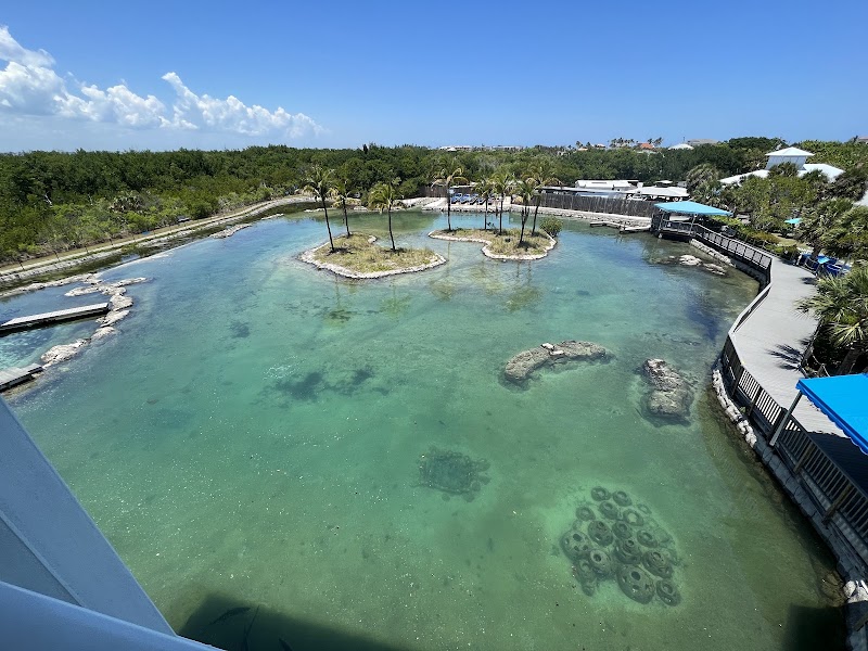 Florida Oceanographic Coastal Center photo 3