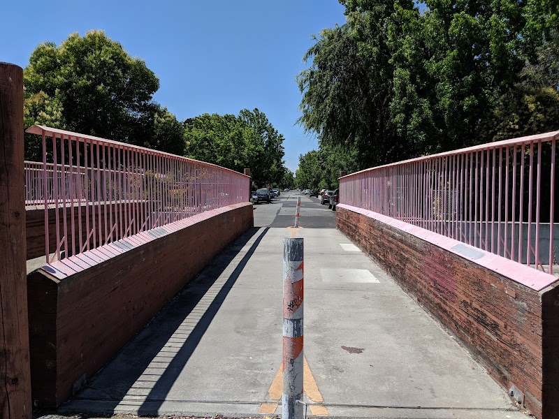 Pink Bridge photo 5