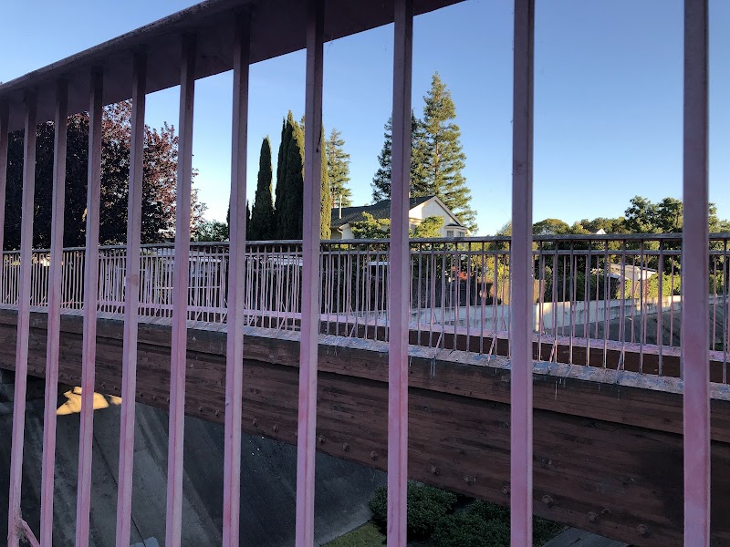 Pink Bridge photo 3