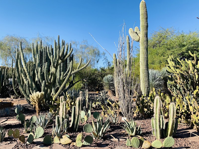 Desert Botanical Garden photo 3