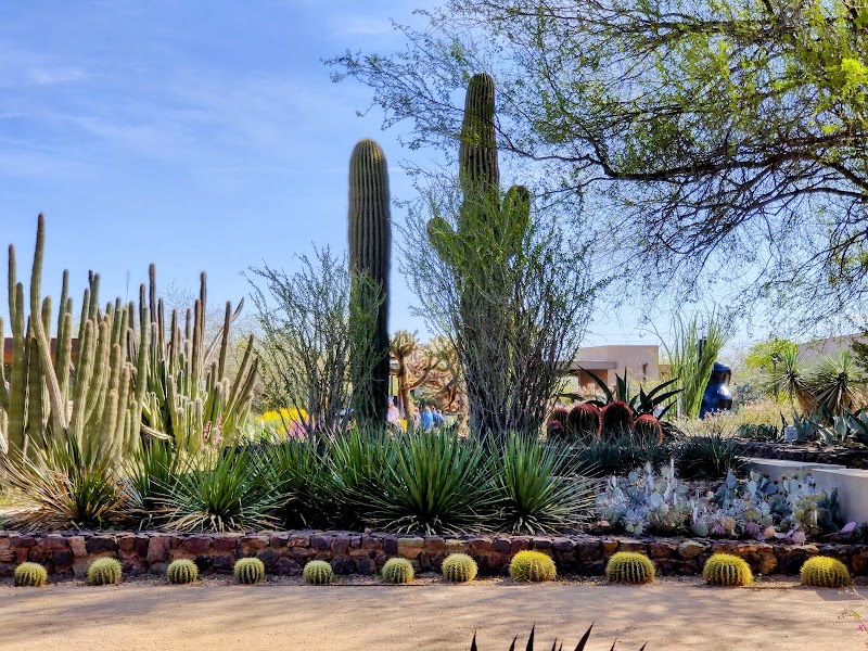 Desert Botanical Garden photo 2